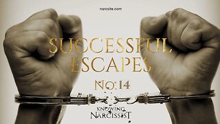 Successful Escapes : 14