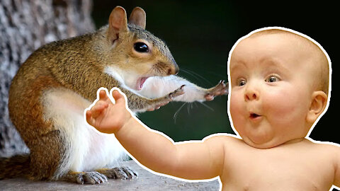 Super Cute Babies Reacting to Animals