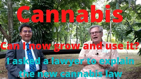 THE CANNABIS LAW EXPLAINED BY A LAWYER