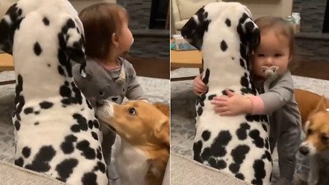 Dogs Get a Hug from Human Baby Sister|