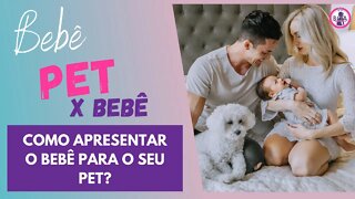 COMO APRESENTAR O SEU BICHINHO PARA O SEU BEBÊ? | dicas