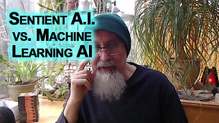 Sentient vs. Machine Learning AI: Novelty, Humanity, Elon Musk's Transhumanism, Art & Originality