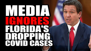 Media IGNORES Florida's DROPPING Covid Cases