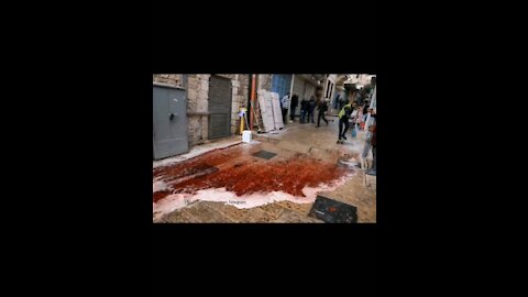Graphic Footage of Terror Shooting at Israel's Western Wall