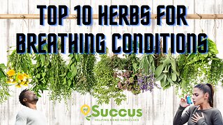 Top 10 Breathing Herbs