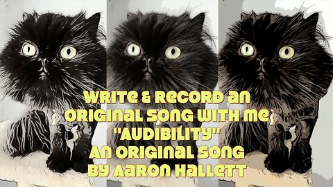 Write & Record an Original Song With Me "Audibility" an Original Song by Aaron Hallett