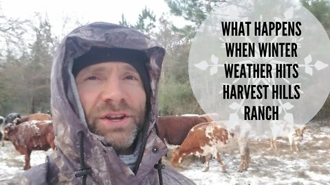 What happens when winter weather hits Harvest Hills Ranch