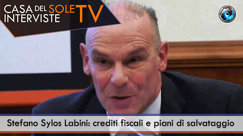 Stefano Sylos Labini: crediti fiscali e piani di salvataggio