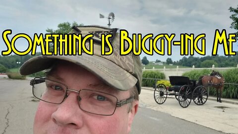 Something is Buggy-ing me