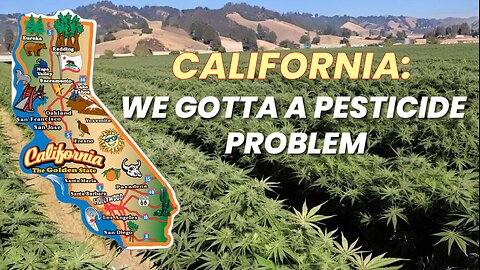 California has a Pesticide Problem