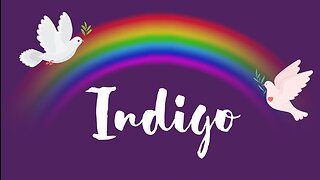 Indigo Unity Project - Protect The Children