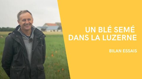 UN BLÉ SEMÉ DANS LA LUZERNE - BILAN ESSAIS #3 - CHRISTOPHE VANDEWALLE