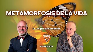 METAMORFOSIS DE LA VIDA con Ángel Luis Fernández