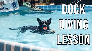 Dock Diving - Agape Ranch Dog Sports - 5/18/20