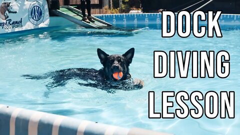 Dock Diving - Agape Ranch Dog Sports - 5/18/20