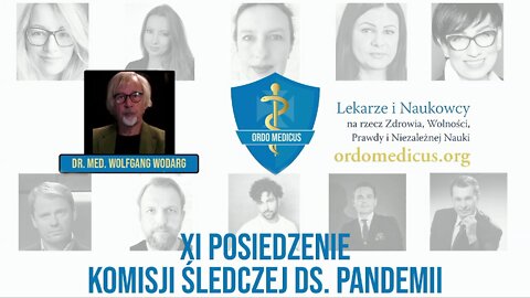 XI Posiedzenie Komisji śledczej - dr med. Wolfgang Wodarg