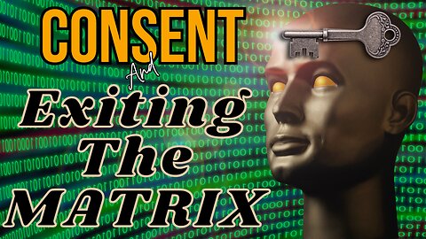 NDE | Had To CONSENT | Memories Were HIDDEN Because of Agreement | Matrix Reincarnation Soul Trap