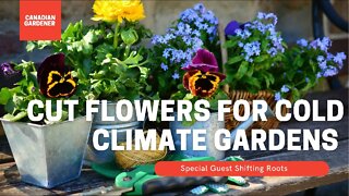 Cut Flowers For Cold Climate Gardeners | Special Canadian Guest!@Shifting Roots