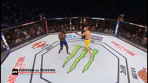 The brutal knockout in UFC