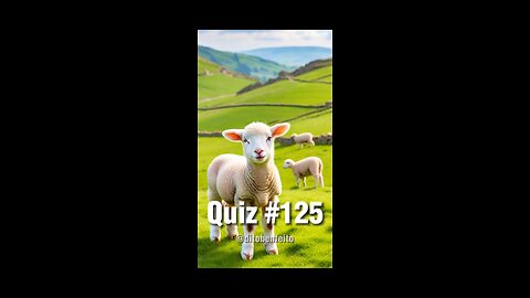 Quiz 125