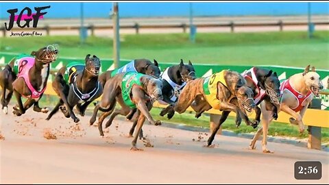 Dog racing