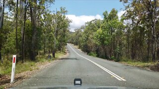 Driving Up Springbrook Mountain | Queensland - Australia