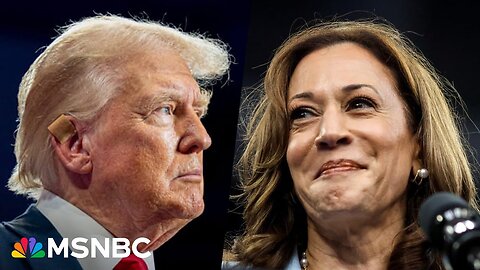 ‘Obvious, raw fear’: Trump is ‘spiraling’ as Kamala Harris rises despite his attacks