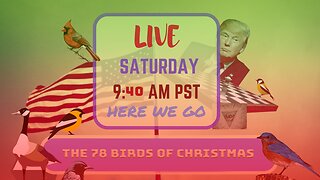 Saturday *LIVE* The 78 Birds of Christmas Edition