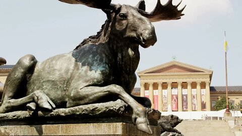 Moose Statue by Museum