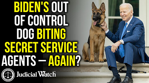 COVER-UP! Biden's Out of Control Dog Biting Secret Service Agents – AGAIN?