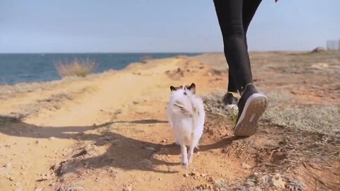 Young adult female spending free time outdoor together with pet (3)