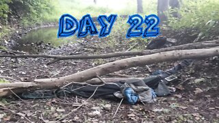 A tree fell on me! - Day 22 walking across America