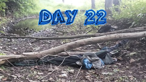 A tree fell on me! - Day 22 walking across America
