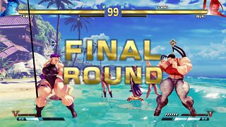 Street Fighter V Cammy vs Ibuki (Ripped Pixels Mod)