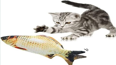 Funny Cats and Fish 😻🐠 Cats Playing With Fish [Funny Pets]