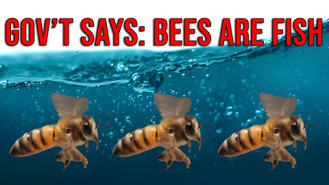 Govt Says "Bees are Fish"