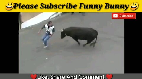 Best funny videos 2021 Most awesome bullfighting festival funny crazy bull fails