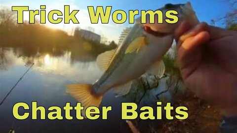 Trick Worm and Chatterbait Fishing - update on new fishing trip