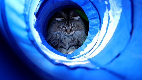 Leia Playing in a Tunnel