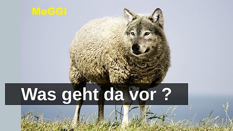 MeGGi - Was geht da vor ?