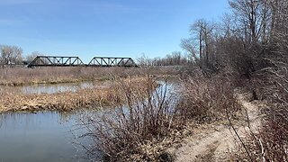 Nature in Southern Alberta