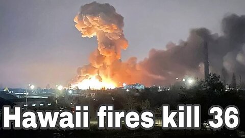 At least 36 killed as wildfires tear through Maui island in Hawaii - interesting news bbc