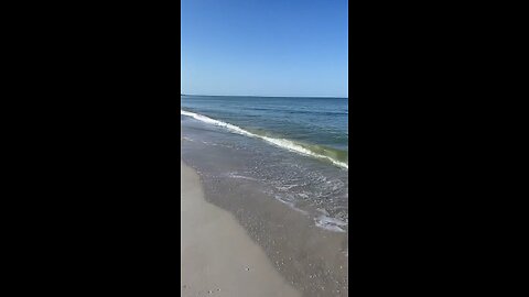 Livestream Clip - Barefoot Beach, FL Before Ian 6/26/2022 PT 6