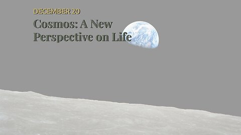 Cosmos: A New Perspective on Life