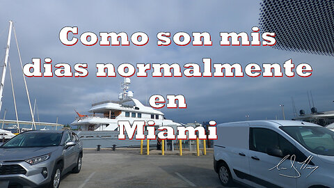 Un dia normal en Miami