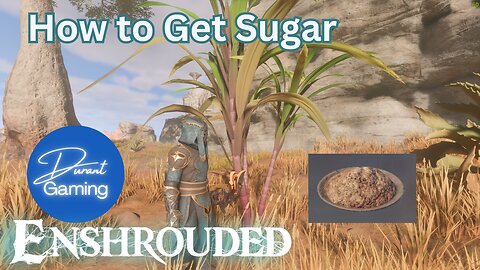 How to Get Sugar | Enshrouded Tips | Sugar Cane