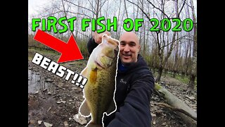 First fish of 2020 (landed a CREEK BEAST!!)