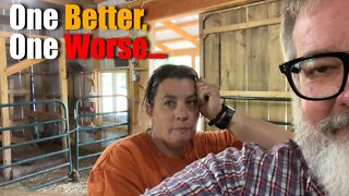 One Better One WORSE | Big Family Homestead
