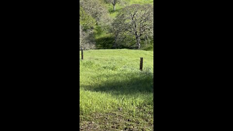 Hidden Lakes Park Hike