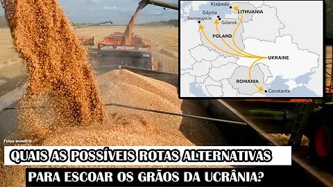 Quais As Possíveis Rotas Alternativas Para Escoar Os Grãos Da Ucrânia?